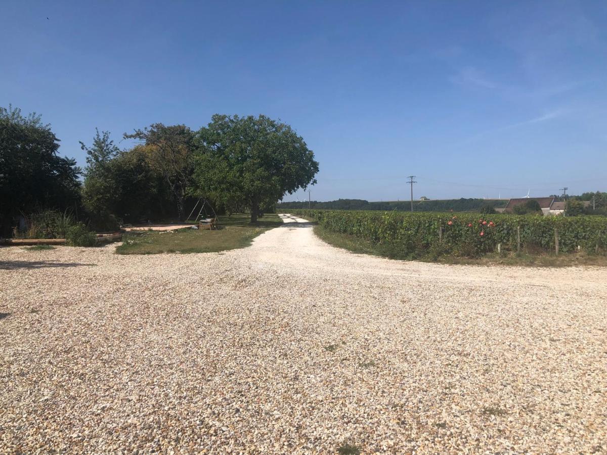 Maison De Pauline, Chablis Vineyard Préhy المظهر الخارجي الصورة