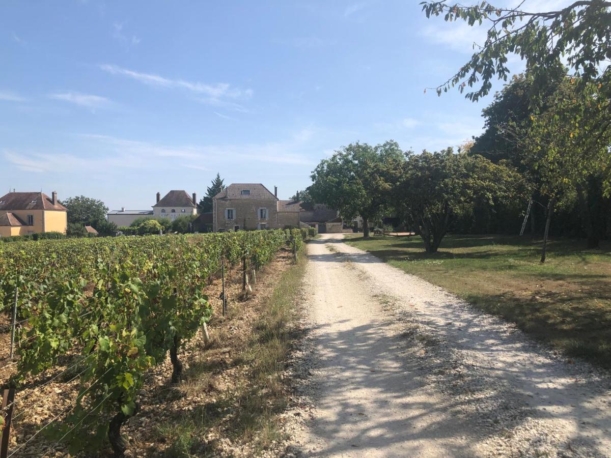 Maison De Pauline, Chablis Vineyard Préhy المظهر الخارجي الصورة