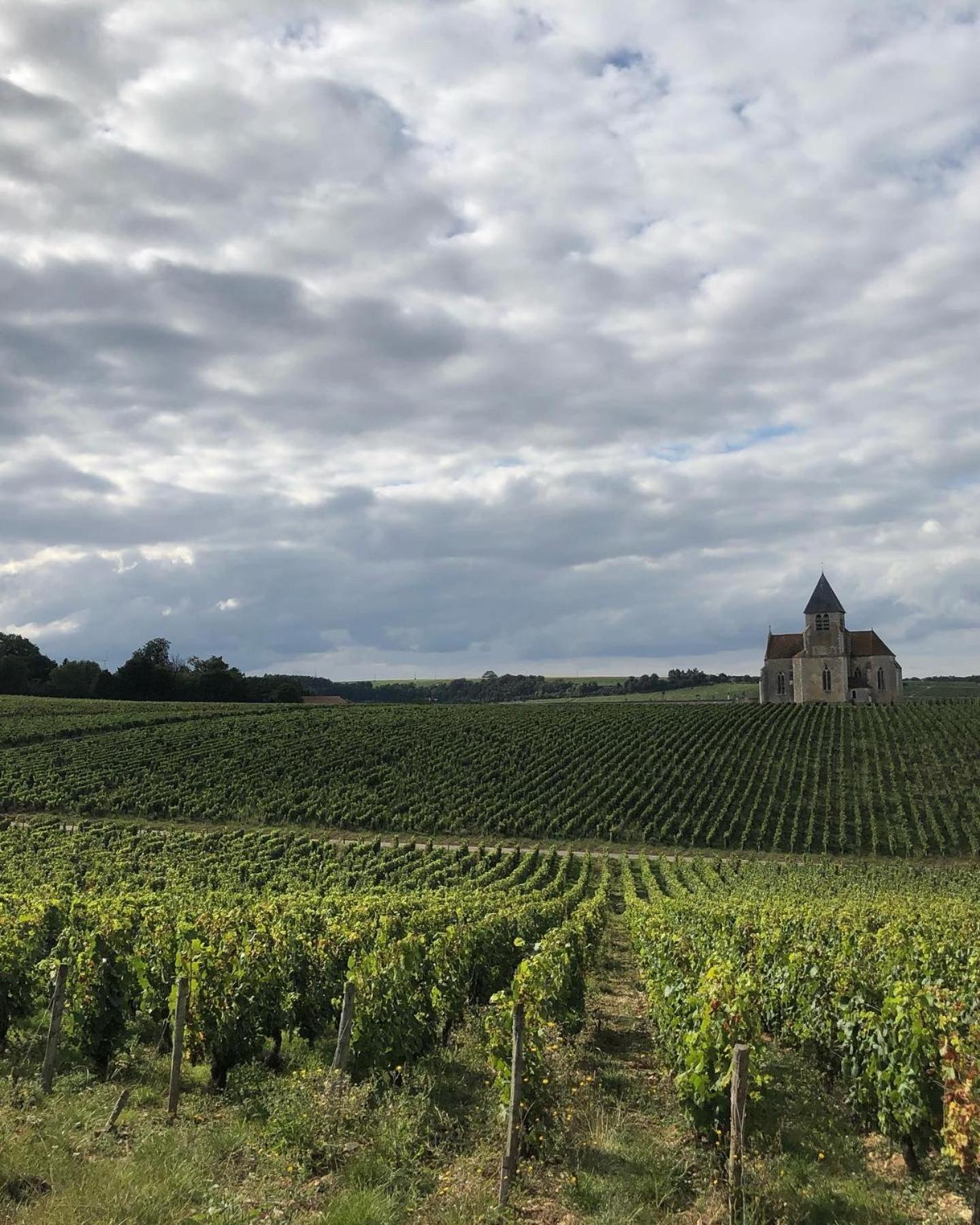 Maison De Pauline, Chablis Vineyard Préhy الغرفة الصورة