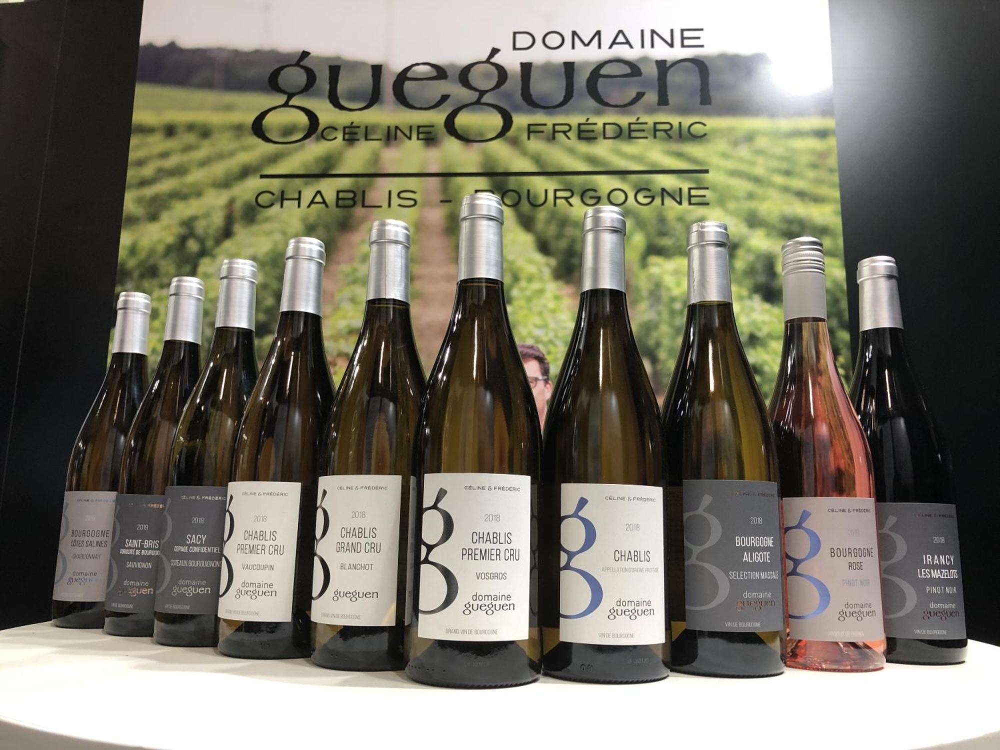 Maison De Pauline, Chablis Vineyard Préhy المظهر الخارجي الصورة