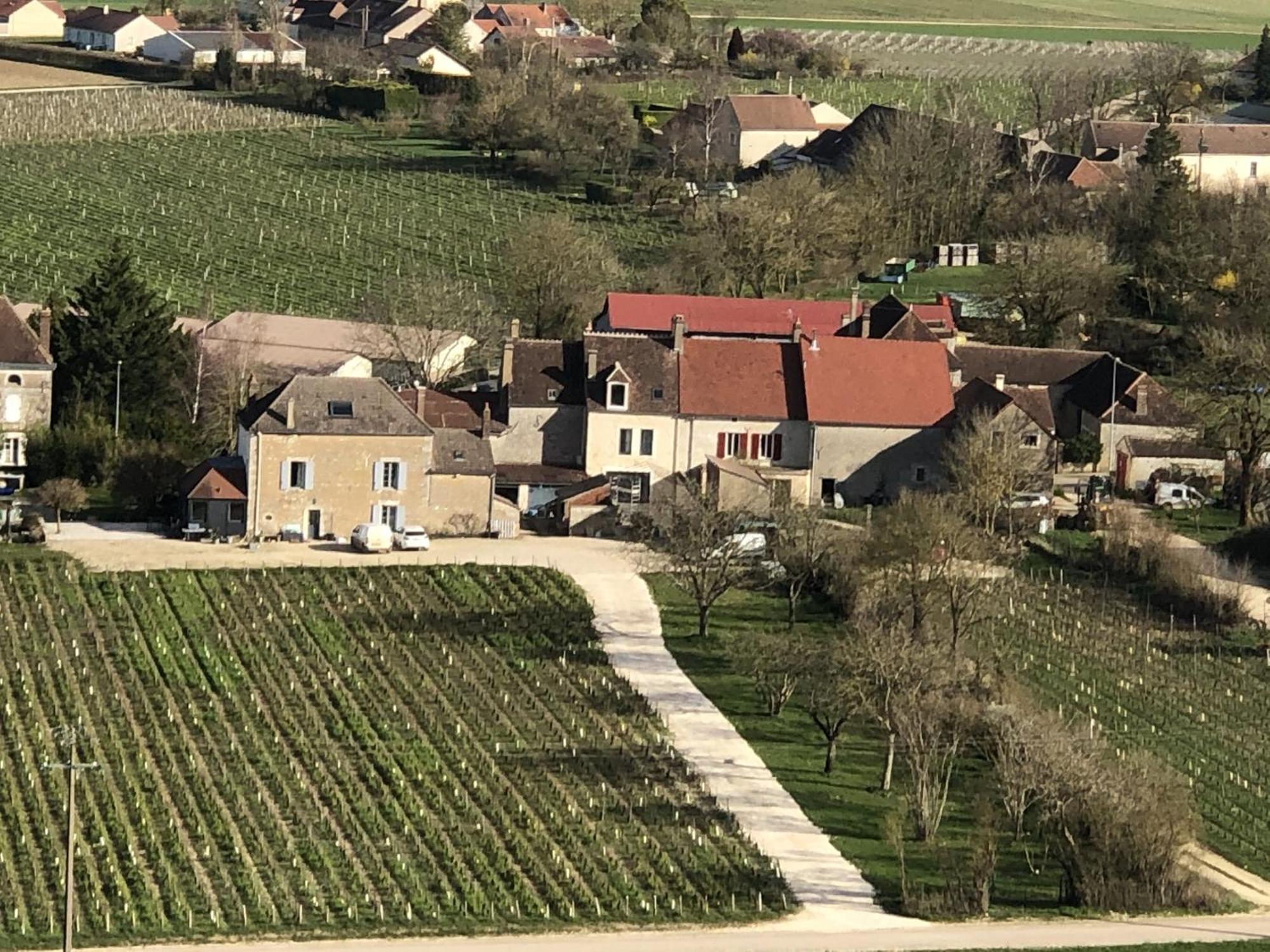 Maison De Pauline, Chablis Vineyard Préhy المظهر الخارجي الصورة